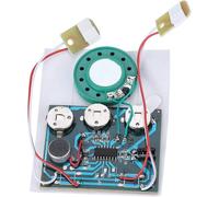 Module Enregistreur Radio Audio Musical,Puce De Module Vocal Enregistrable,Carte De V?ux Enregistrable À Monter Soi-Même (Version Câble D'Extension)