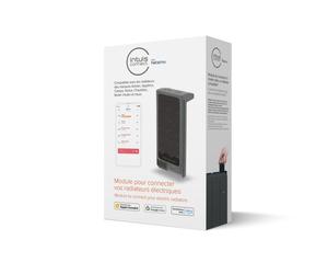 Module Intuis connect with Netatmo Gris - NEN9241AAHS