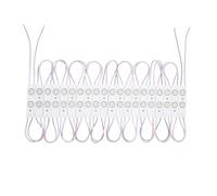 Module LED 20 Pièces 15W IP65 24V DC pour Enseignes Publicitaires 2.5m 6000K Blanc froid