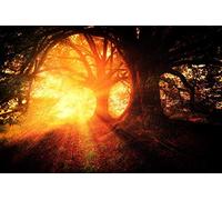 Module LED feu tricolore AC230V, rouge-vert-jaune - Support de lampe pour voyant lumineux