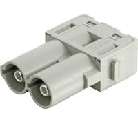 Module mâle HARTING 09140022647 1 pc(s)
