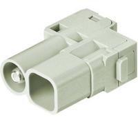 Module mâle HARTING 09140052646 1 pc(s)