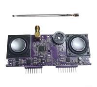 Module récepteur radio FM 76-108 MHz DIY Kit électronique avec double sortie haut-parleur pour projets Arduino Carte PCB blanche 13 x 7,5 cm (sans coque)