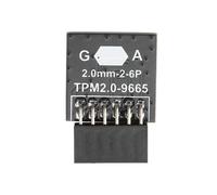 Module TPM 2.0 pour Carte Mère Gigabyte LPC 12 Broches (Module de Sécurité TPM LPC pour Carte Mère Gigabyte Compatible Windows 11
