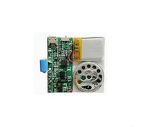 Module vocal MP3 8 Mo audio avec USB rechargeable - Puce sonore musicale pour projets de bricolage, enregistrement via microphone ou PC, compact pour cartes de vœux et travaux manuels (E)
