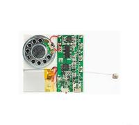 Module vocal MP3 8 Mo audio avec USB rechargeable - Puce sonore musicale pour projets de bricolage, enregistrement via microphone ou PC, compact pour cartes de vœux et travaux manuels (B)