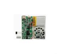 Module vocal MP3 8 Mo audio avec USB rechargeable - Puce sonore musicale pour projets de bricolage, enregistrement via microphone ou PC, compact pour cartes de vœux et travaux manuels (D)
