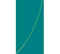 Moelle De Rotin Naturelle 1,5 Mm 250g