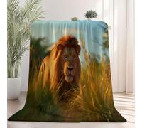 Moelleuse Couverture Polaire 150 x 200 cm, Chaude Moelleuse Photographie Animalière Nature Sauvage Lion Couverture Imprimée pour Chaise Lit Sofa - Flanelle Plaid pour l'Automne et l'hiver Couleur