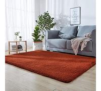 Moelleux Tapis de Salon Brown 130 x 220 cm Tapis d'entrée Anti-poussière Antibactérienne adapté aux Personnes allergiques