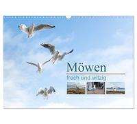 Möwen frech und witzig (Wandkalender 2026 DIN A3 quer), CALVENDO Monatskalender: Ein Kalender der fröhlich macht und zum Schmunzeln anregt