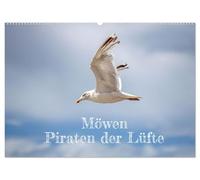 Möwen Piraten der Lüfte (Wandkalender 2026 DIN A2 quer), CALVENDO Monatskalender: Möwen in ihrem Lebensraum an Fluss und Meer
