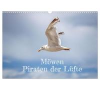 Möwen Piraten der Lüfte (Wandkalender 2026 DIN A3 quer), CALVENDO Monatskalender: Möwen in ihrem Lebensraum an Fluss und Meer