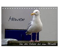Möwen - Von der Ostsee bis zum Atlantik (Tischkalender 2026 DIN A5 quer), CALVENDO Monatskalender: Ob in Warnemünde oder an der Algarve - Möwen gehören zum Meer wie die Wellen und das Rauschen.