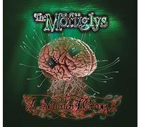 Mofuglys - A Murder of Crows