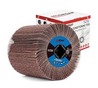 MOGRQAP Brosse à lamelles abrasives, grain 60, manchons abrasifs, rouleau abrasif, brosse à lamelles pour machine satinée, rénovateur, bois, métal, surface polie, 120 x 100 mm