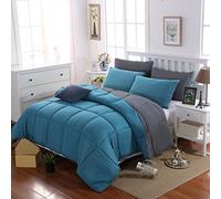 MOHAP Couette Bicolore d'hiver 220x240cm Hypoallergénique 4 Saisons Lac Bleu + Gris Foncé Couette de Lit Réversible 2 Personnes Edredon