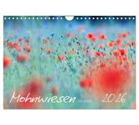Mohnwiesen (Wandkalender 2026 DIN A4 quer), CALVENDO Monatskalender: Jeden Monat ein kleines Farbenspiel: Tauchen Sie ein in die zauberhafte Welt ... und spüren Sie die Leichtigkeit der Natur.