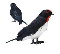 Moineau gravé - Jouet en plumes | Parfait pour les amoureux des oiseaux, ensemble de jouets de piste de course de 100g, ensembles de jeux de véhicules, jouets de course de rampe de voiture pour les en