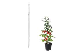 Moisture Meter for Plants - Reusable Multi-Purpose Sensor