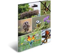 Moiuy-19345 Classeur A4 Animal Worlds Home Birds En Carton Robuste Avec Impression Intérieure Complète Et Bande Élastique Pour Enfants, Garçons Et Filles