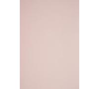 Moiuy-25x Papier Cartonné Rose Pâle A4 210x297mm 210g Sirio Color Nude Papier Épais De Couleur Pour Tickets Anniversaire Mariage Invitations Bricolage Noël Cartes De V?Ux Brochures Cartes De Menu