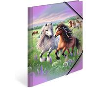 Moiuy-Lot De 3 Chemises À Élastiques A4 - Motif Cheval - En Carton - Avec Élastique - Rabat Intérieur Et Impression Intérieure - Pour Garçons, Filles Et Enfants