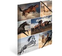 Moiuy-Lot De 3 Chemises À Élastiques A4 Pour Enfants, En Carton, Avec Motif Animal, Rabat Intérieur Et Impression Intérieure, Pour Garçons Et Filles