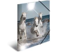Moiuy-Lot De 3 Chemises À Élastiques A4 Pour Enfants, En Plastique, Avec Motif Animal, Aspect Brillant, Élastique, Rabats Intérieurs Et Impression Intérieure, Pour Garçons Et Filles