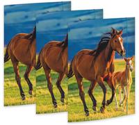 Moiuy-Rnk - Verlag Rnk 45353-3 - Chemise À Dessin Free Horses 310 X 440 Mm, 3 Pièces, Din A3, Avec Fermeture Élastique