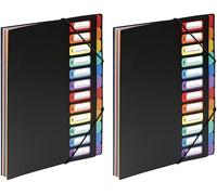 Moiuy-Viquel Trieur Vertical Rainbow 12 Compartiments À Soufflet En Polypro 5/10, Noir Intérieur Multicolore (Lot De 2)