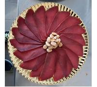 Mojama de Thon Extra 220-250gr - Sélection Gourmet - Caviar de la mer