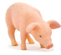 Mojo 387056 Animal Planet Piglet mangeant environ 5 x 1,5 x 2,5 cm