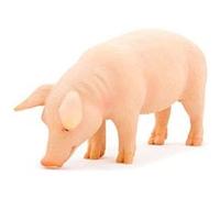 MOJO Cochon (Sanglier) Figurine Jouet G