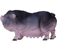 Mojo Cochon vietnamien de Vervet