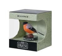 MOJO Collection européenne de bouvreuil des oiseaux de jardin série 1, figurines peintes à la main, objets de collection, jouets, sculptures détaillées avec code QR pour des faits amusants