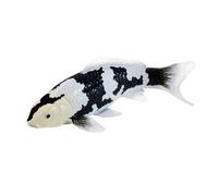 Koi Carp Shiro Utsuri Noir Blanc Environ 13 Cm Longueur Mojo Fun 381102