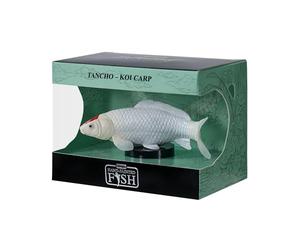 MOJO | Figurine de poisson Koi Carpe Asagi peinte à la main, modèle décoratif bleu et rouge, collection série 1, style japonais (Tancho K)