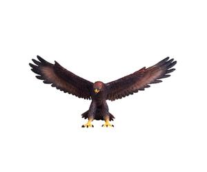 Mojo Figurine d'oiseau Sauvage à Collectionner avec Aigle doré