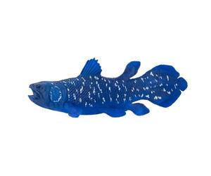 MOJO Sea Life Coelacanth 381050