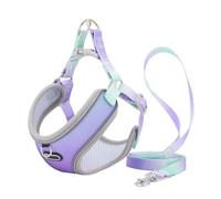 Mokassy Ensemble Harnais et Laisse Anti-Fuite pour Chat, Harnais RéGlable en pour Chien, Gilet pour Chiot, Laisse de Marche pour Animaux de Compagnie (A), S