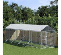 Mokuyary Chenil d'extérieur pour Chiens avec Toit argenté 2x10x2,5 m Enclos extérieur pour Chiens et Chiots, Cage Niche pour Jardin -A
