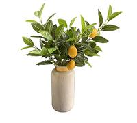 Mokylor Lot de 3 Branches de Citron Artificielles pour Vase, 50 Cm, Fausses Tiges de Citronnier Jaune Vif avec Feuille Verte, Fausses Décorations de Plantes Vertes pour la Maison, la Cuisine, Le(#1)