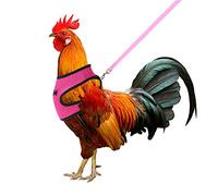 Molain Harnais avec laisse réglable et respirant pour poules, animaux domestiques, canard, oie, promenade, taille M (rose)