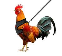 Molain Harnais de Poulet réglable avec Laisse, Gilet Confortable pour Poule Harnais d'entraînement Respirant pour Poulet Harnais en Maille pour oie de Canard de 1 à 5 kg(Noir)