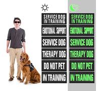 Molain Lot de 6 Patchs Réfléchissants Amovibles pour Gilet de Chien - Crochet Personnalisable pour Service, Dressage et Formation