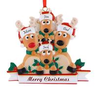 Molain Ornements de Noël de cerf, Ornement de Famille de 3,4,5 nom personnalisé Rennes Pendentif Arbre de Noël avec Texte, Cadeaux de décoration de Noël personnalisés