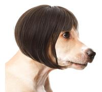 Molain Perruque amusante pour chien et chat, costume pour Halloween, Noël, fêtes, festivals, perruques pour chiens de petite, moyenne et grande taille, marron