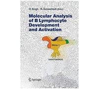 Molecular Analysis Of B Lymphocyte Development And Activation