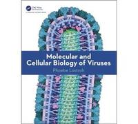 Molecular and Cellular Biology of Viruses by Phoebe Lostroh Lostroh, Phoebe (Colorado College, USA) (Auteur)